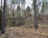 Abbeville County, ,Land,Active,1155