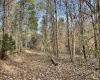 Abbeville County, ,Land,Active,1155