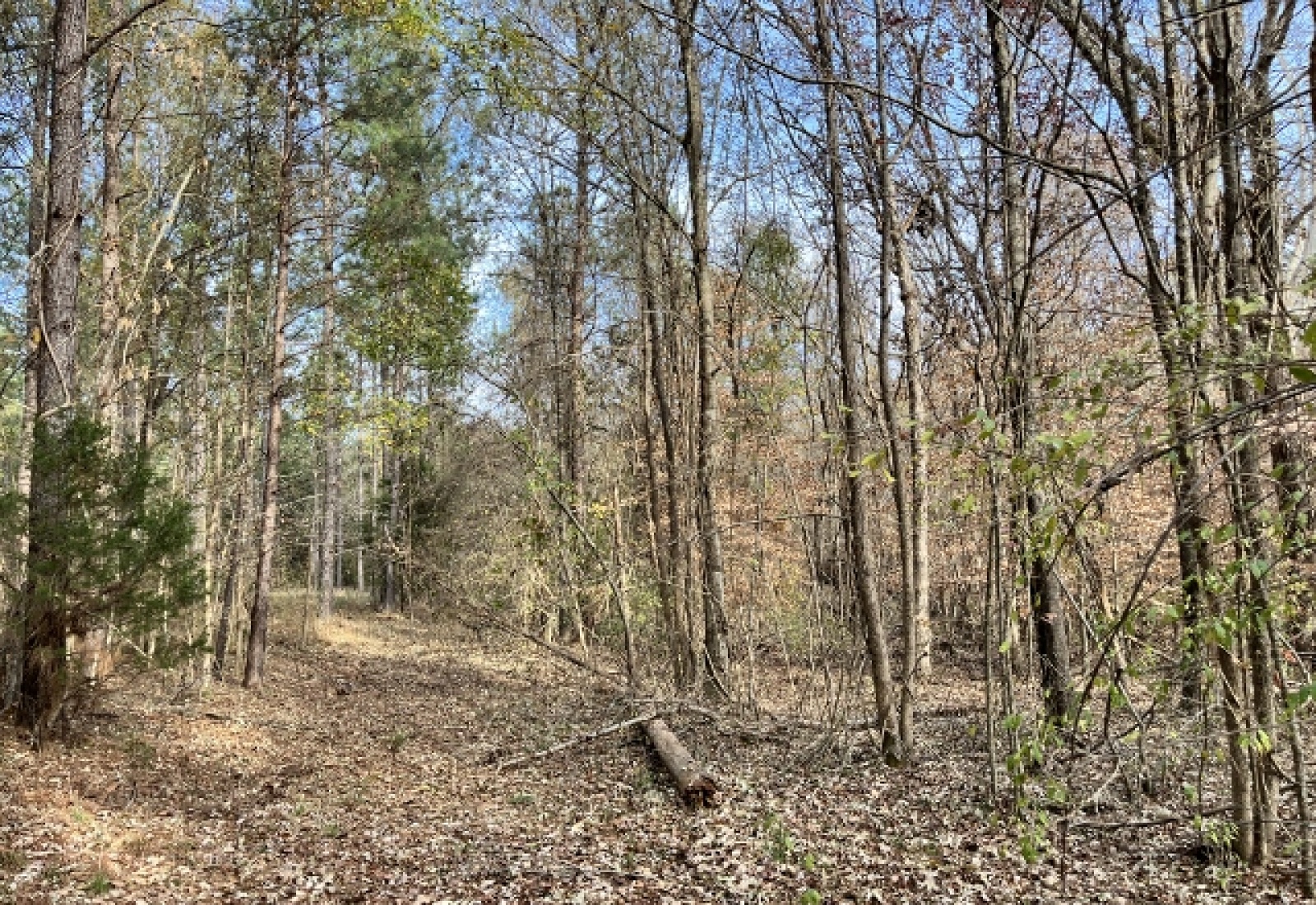 Abbeville County, ,Land,Active,1155