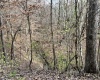 Abbeville County, ,Land,Active,1155