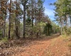 Abbeville County, ,Land,Active,1155