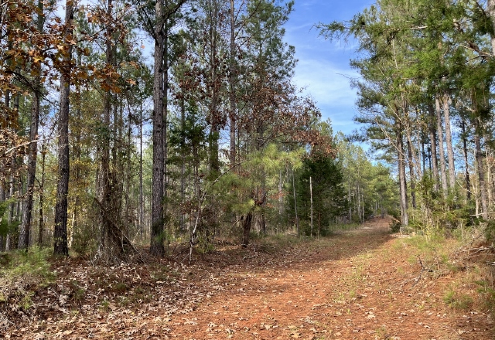 Abbeville County, ,Land,Active,1155