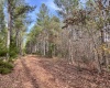 Abbeville County, ,Land,Active,1155