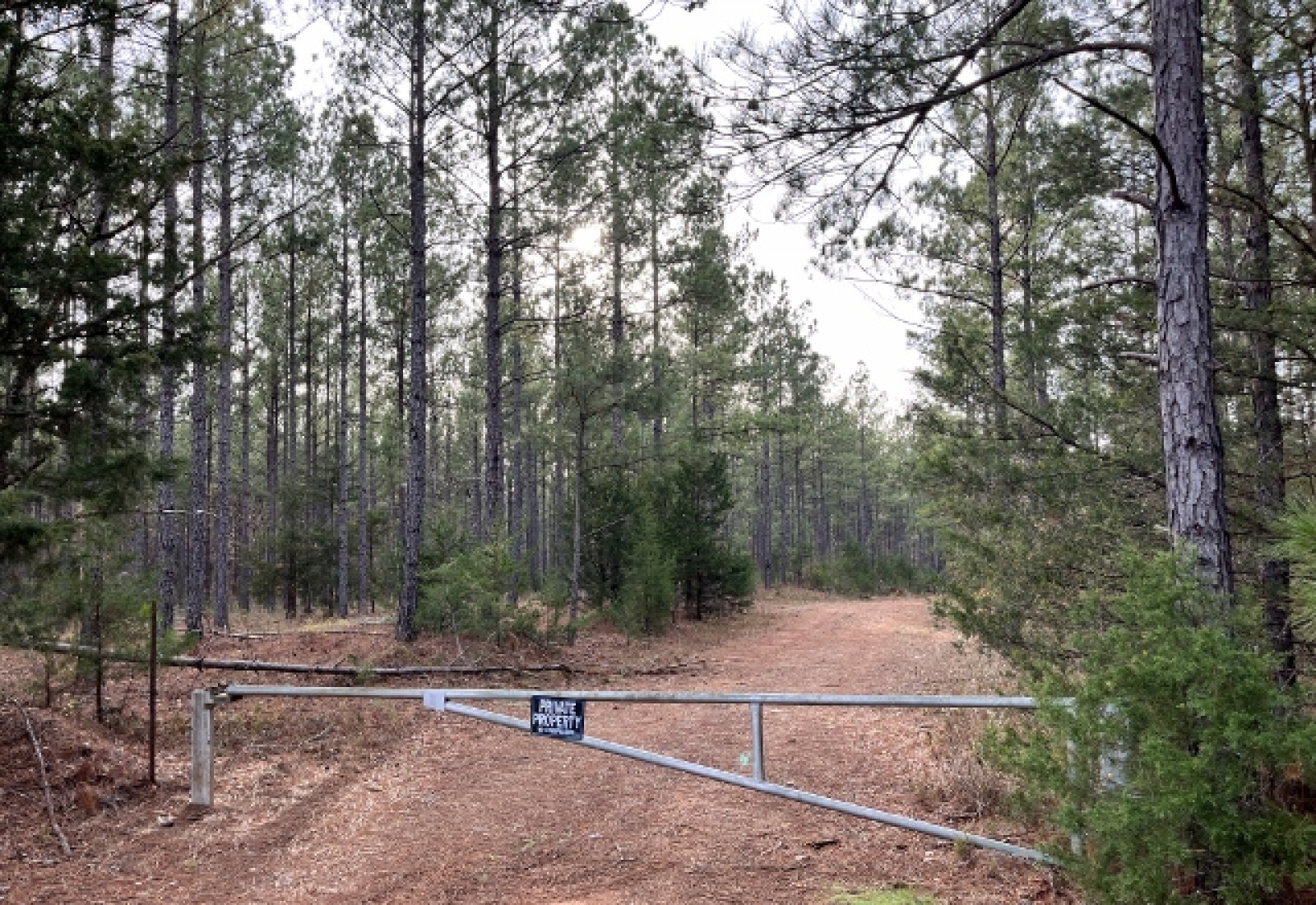 Abbeville County, ,Land,Active,1155