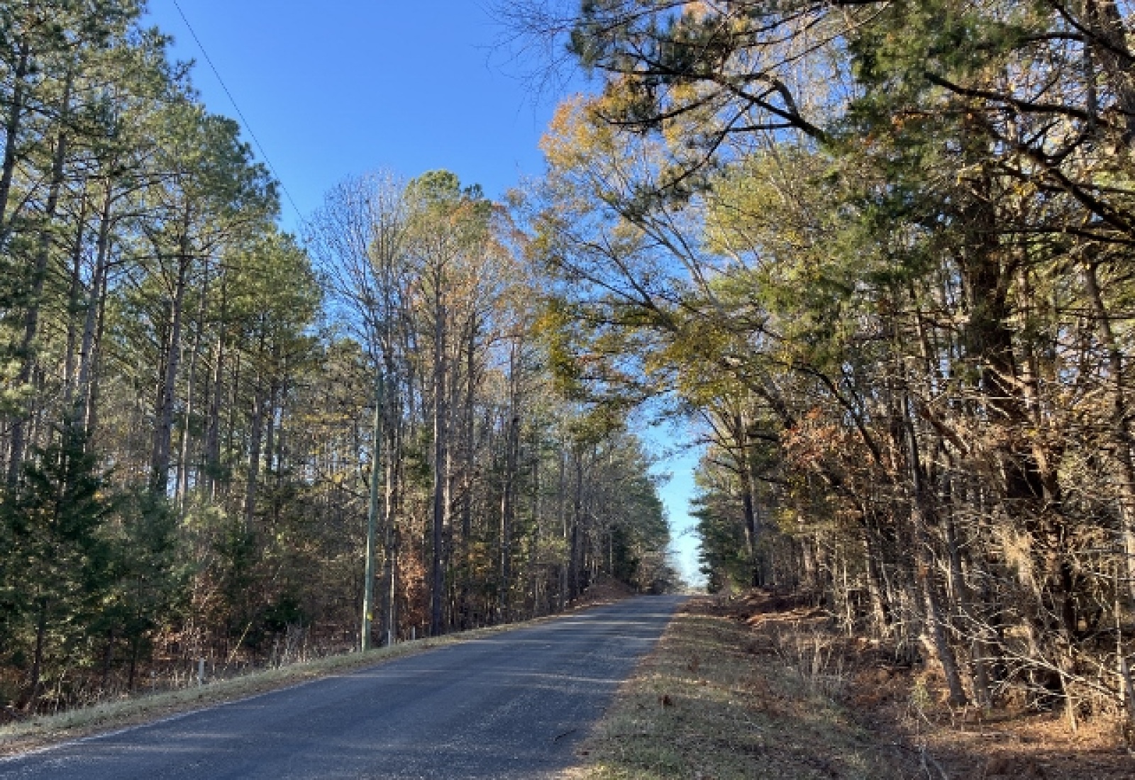 McCormick County, ,Land,Active,1156