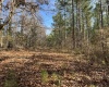 McCormick County, ,Land,Active,1156