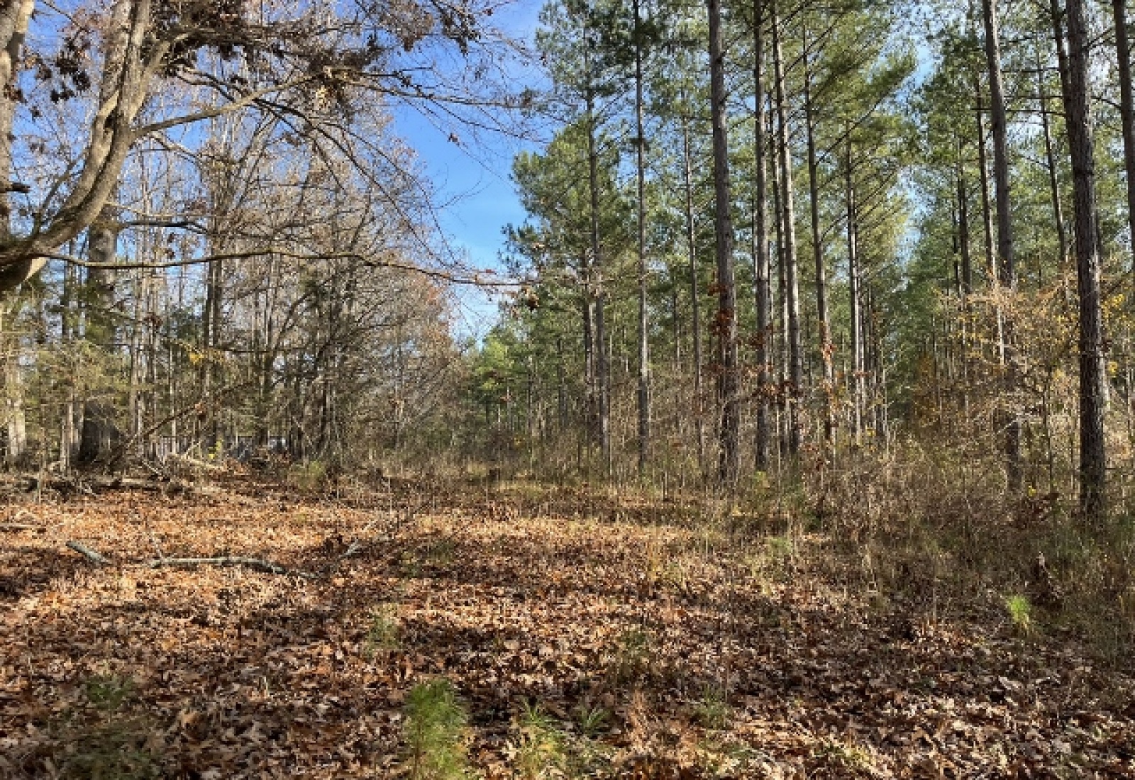 McCormick County, ,Land,Active,1156