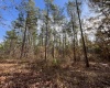 McCormick County, ,Land,Active,1156