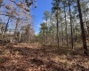 McCormick County, ,Land,Active,1156