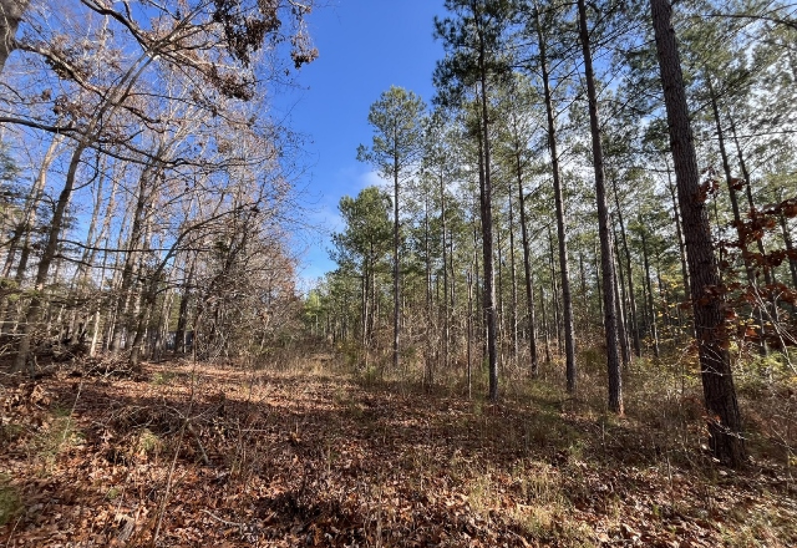 McCormick County, ,Land,Active,1156