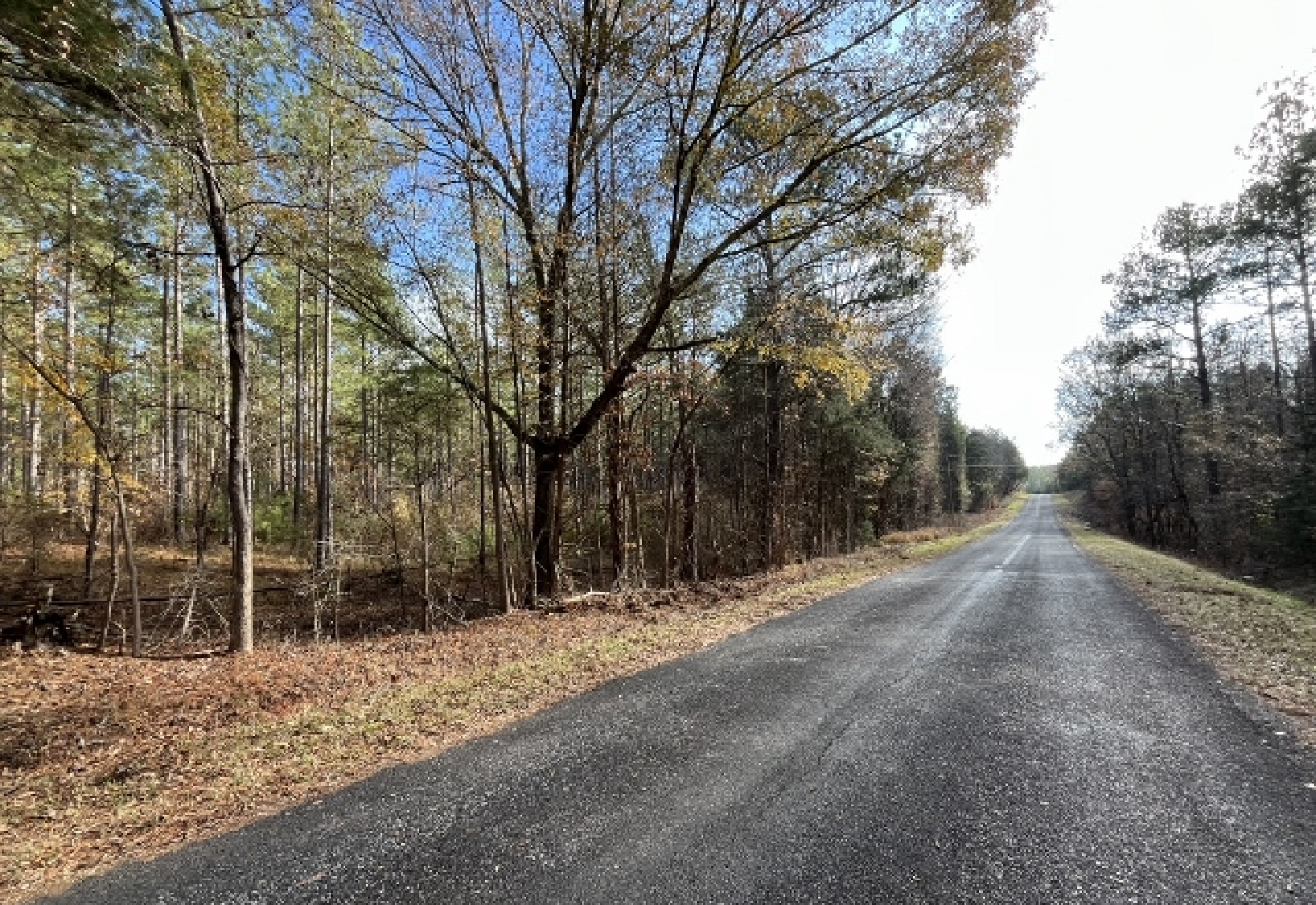 McCormick County, ,Land,Active,1156