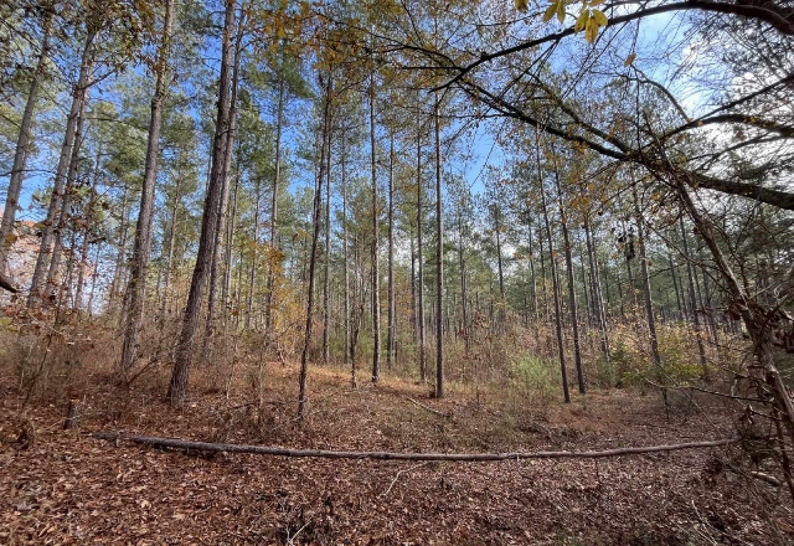 McCormick County, ,Land,Active,1156