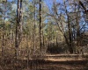 McCormick County, ,Land,Active,1156