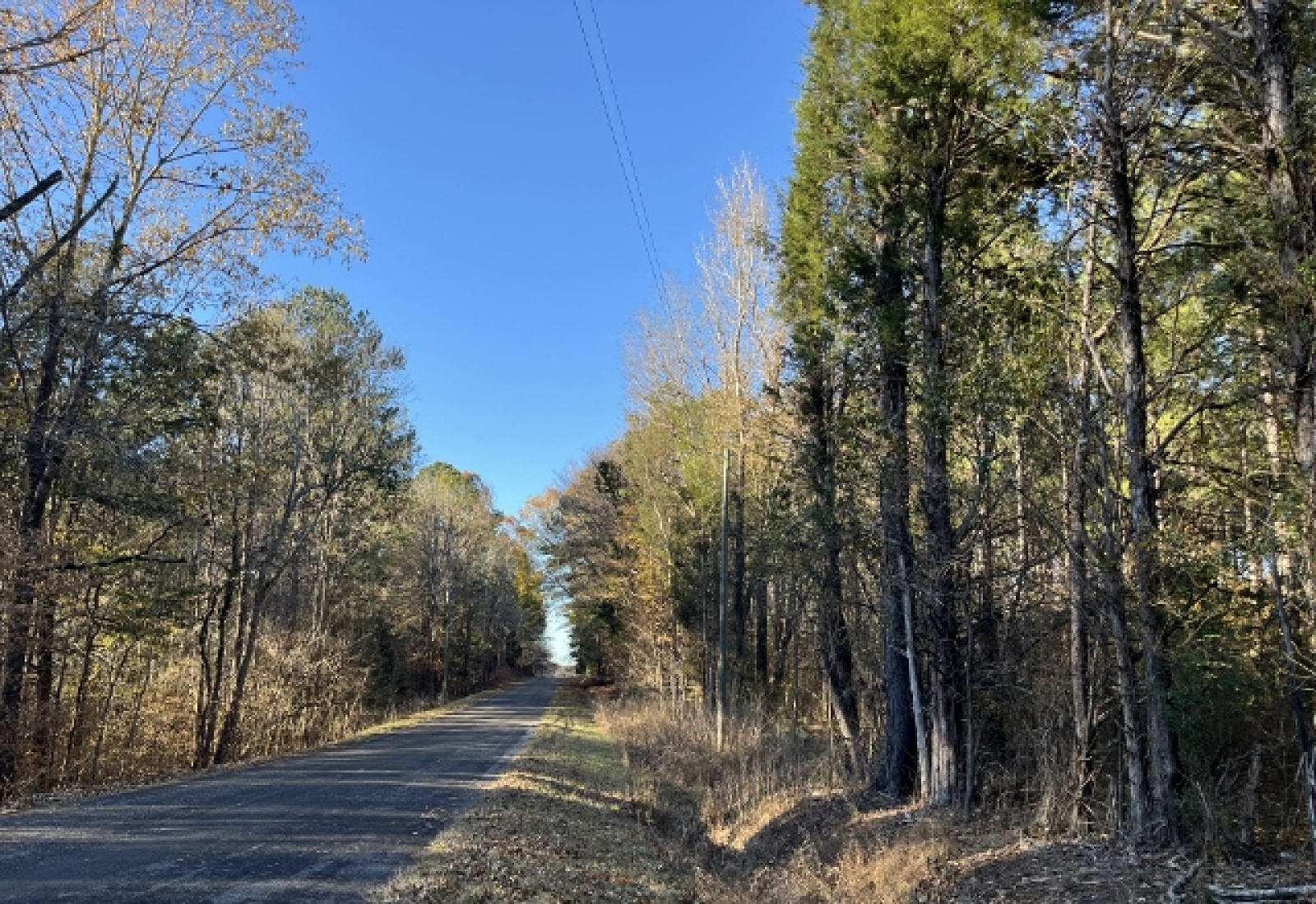 McCormick County, ,Land,Active,1156