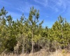 Edgefield County, ,Land,Active,1159