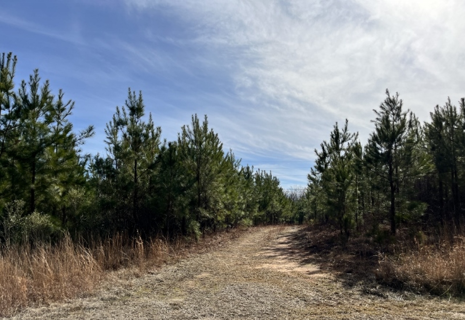 Edgefield County, ,Land,Active,1160