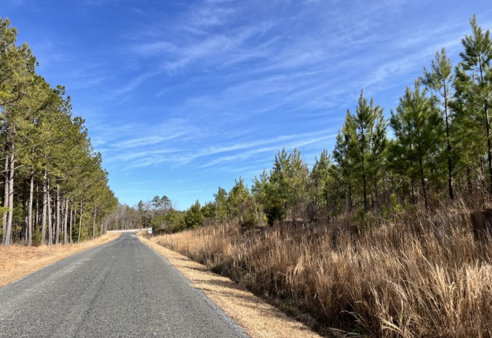 Edgefield County, ,Land,Active,1160