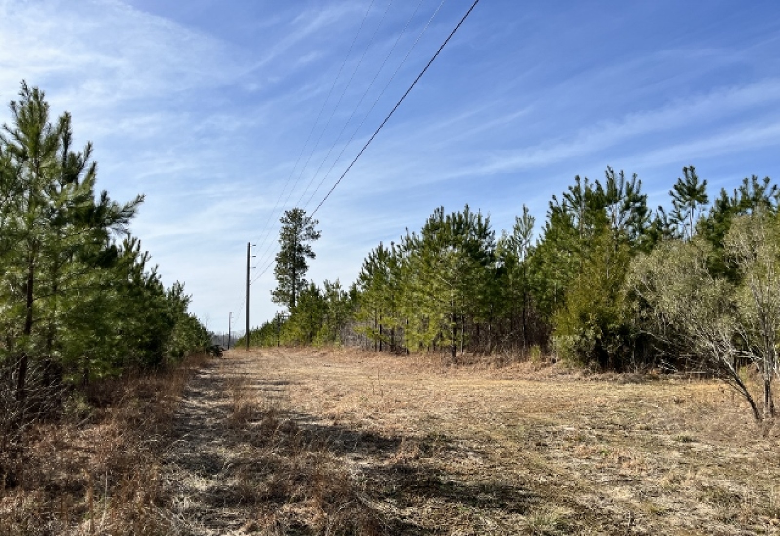 Edgefield County, ,Land,Active,1160