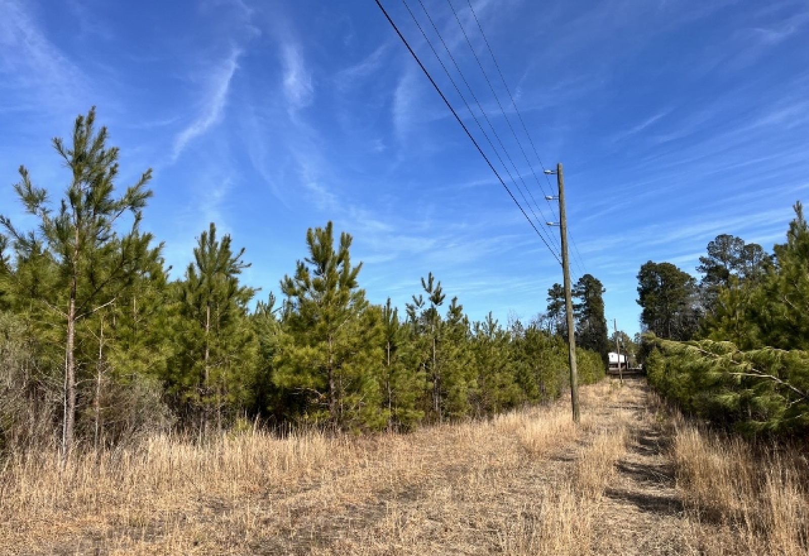 Edgefield County, ,Land,Active,1160