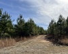 Edgefield County, ,Land,Active,1161