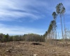 Saluda County, ,Land,Active,1172