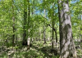 Greenwood County, ,Land,Active,1173