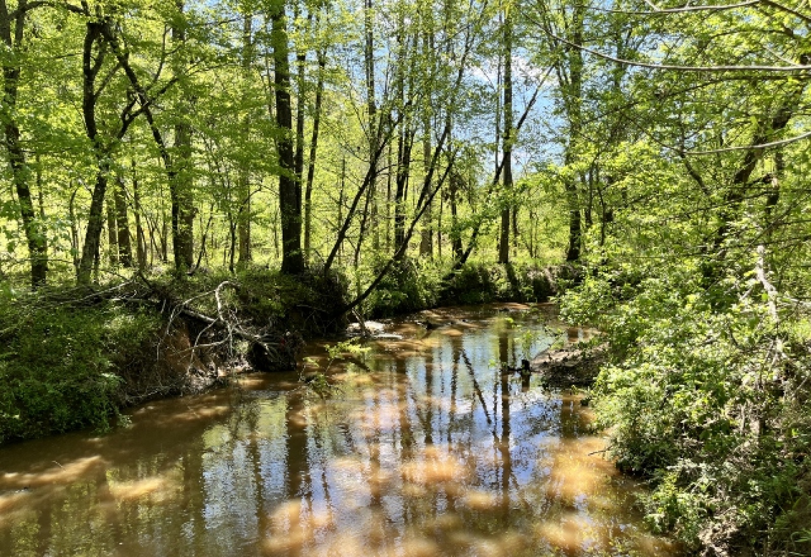 Greenwood County, ,Land,Active,1173
