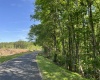 Greenwood County, ,Land,Active,1174