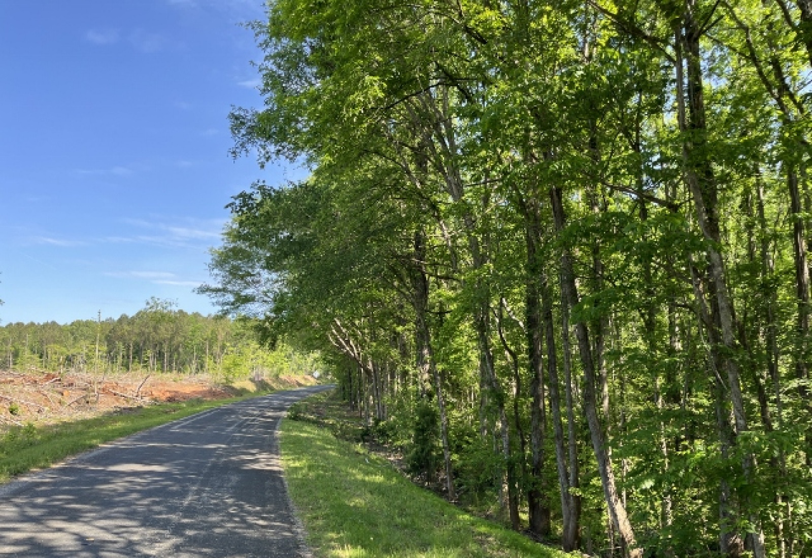 Greenwood County, ,Land,Active,1174