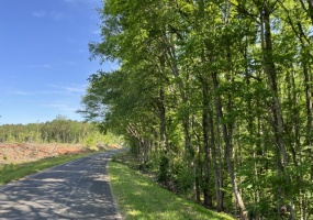 Greenwood County, ,Land,Contract Pending,1174