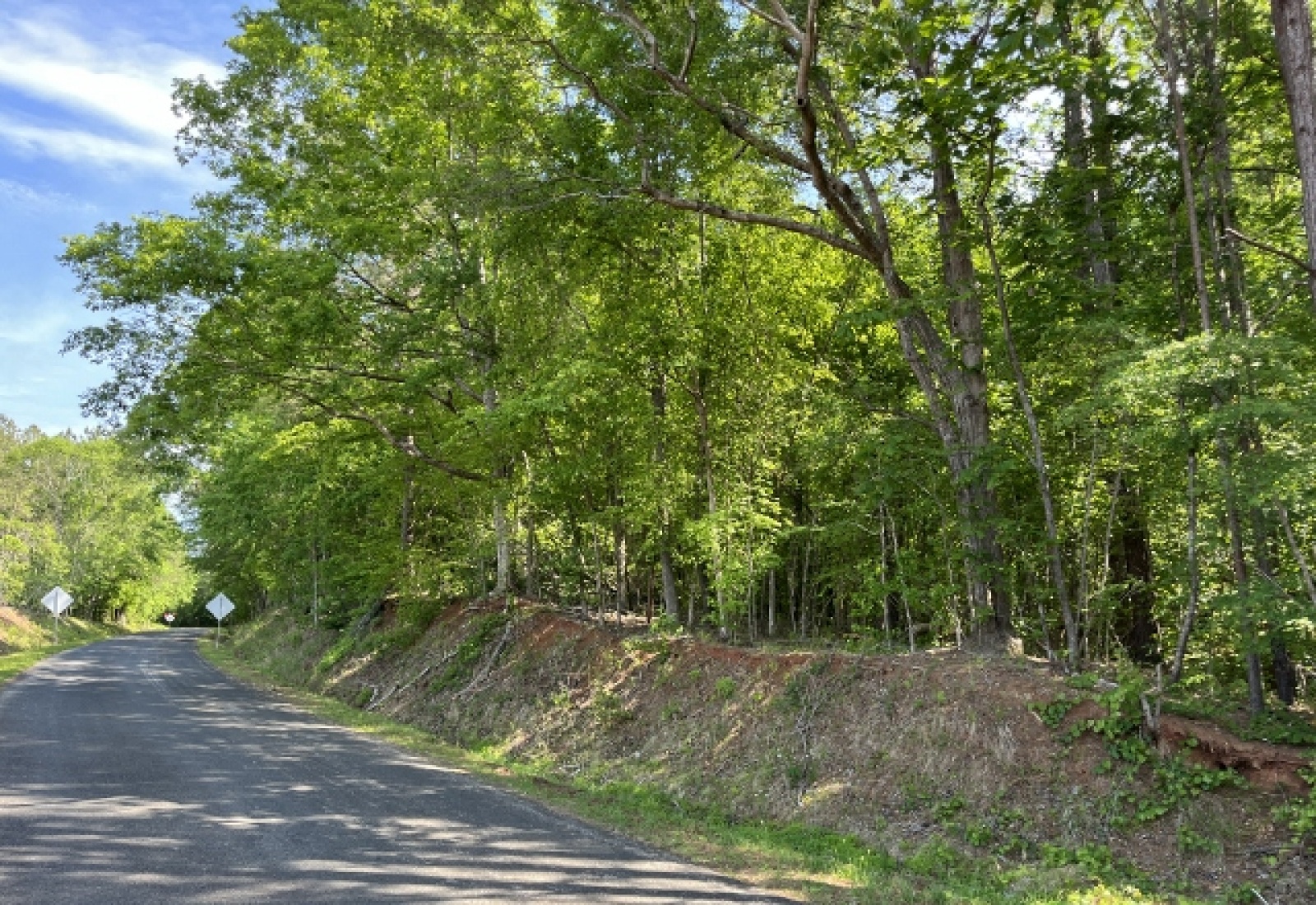 Greenwood County, ,Land,Active,1174