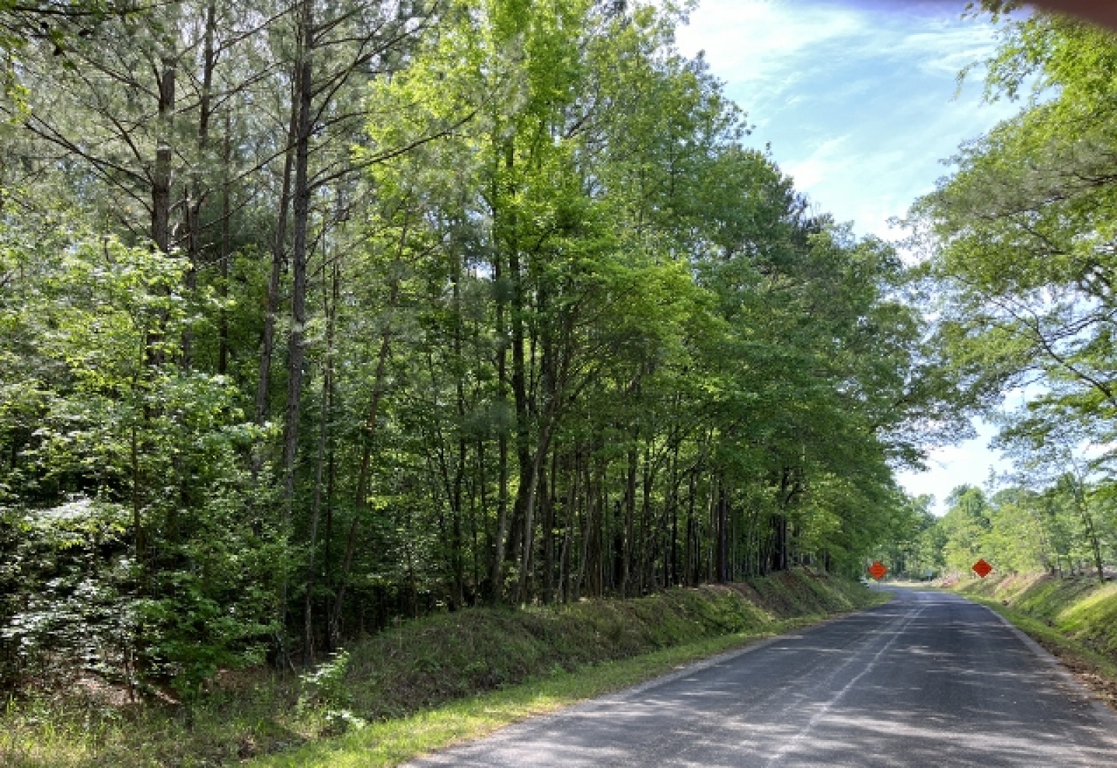 Greenwood County, ,Land,Active,1174