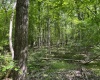 Greenwood County, ,Land,Active,1174