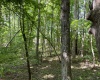 Greenwood County, ,Land,Active,1174