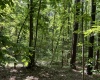 Greenwood County, ,Land,Active,1174