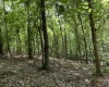 Greenwood County, ,Land,Active,1174