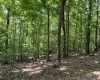 Greenwood County, ,Land,Active,1174