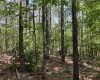 Greenwood County, ,Land,Active,1174