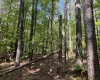 Greenwood County, ,Land,Active,1174