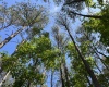Greenwood County, ,Land,Active,1174