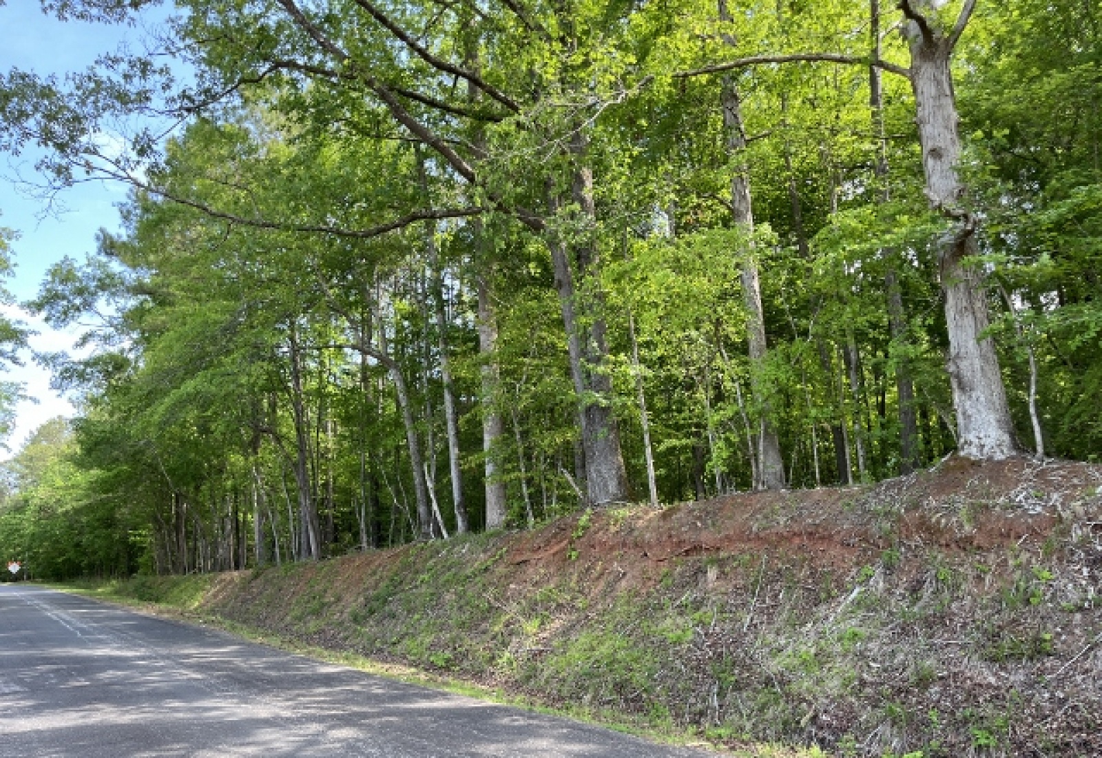 Greenwood County, ,Land,Active,1174