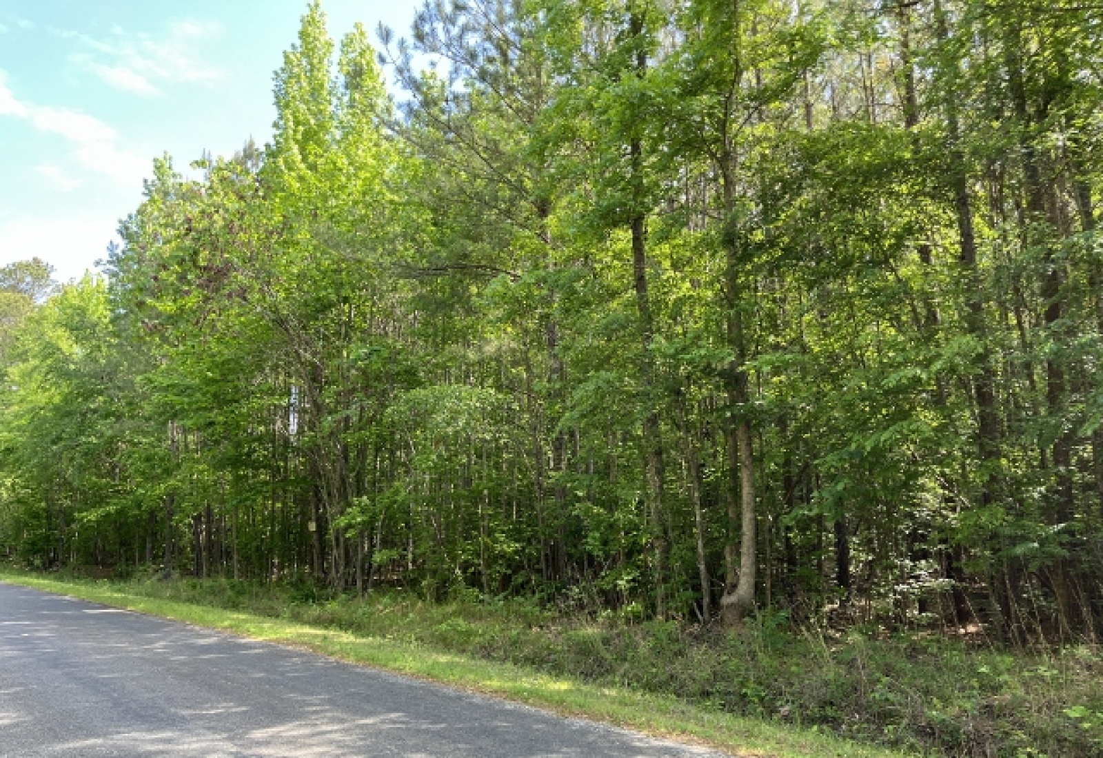 Greenwood County, ,Land,Active,1175