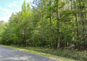 Greenwood County, ,Land,Contract Pending,1175