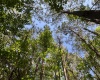 Greenwood County, ,Land,Active,1175