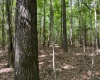 Greenwood County, ,Land,Active,1176