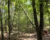 Greenwood County, ,Land,Active,1176