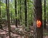 Greenwood County, ,Land,Active,1176
