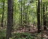 Greenwood County, ,Land,Active,1176