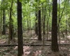 Greenwood County, ,Land,Active,1176