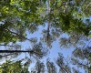 Greenwood County, ,Land,Active,1176